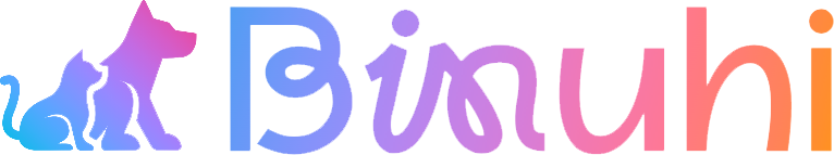 binuhi.com